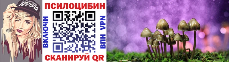 Галлюциногенные грибы Psilocybe  Чишмы 
